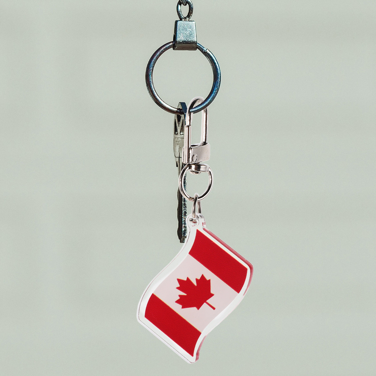 Travel Accessories Canada - 10 llaveros con forma de hoja