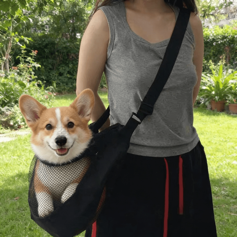 Bolsa de Transporte para Perro - Travel Accessories For Dogs reseña y precio