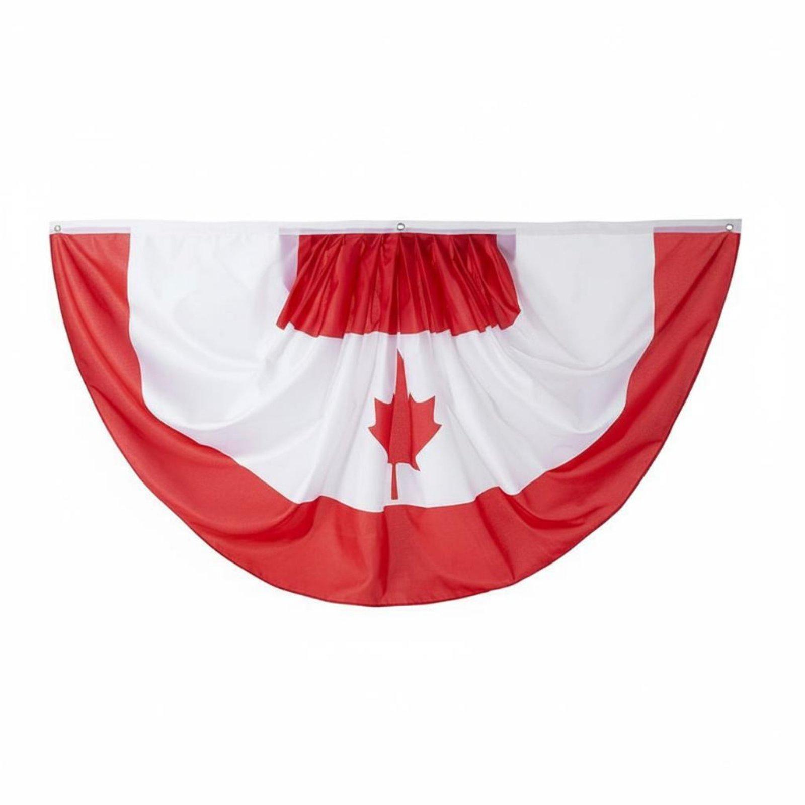 Bandera de Fan, Accesorios Ver - Travel Accessories Canada reseña y precio